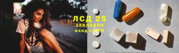 индика Липки