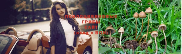 молекула духа Магас