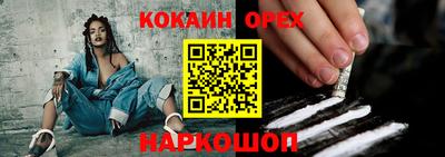 стафф Гай