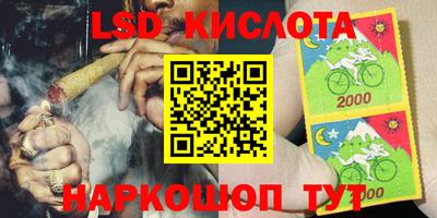спиды Гатчина