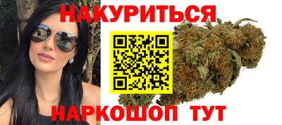 стафф Гай