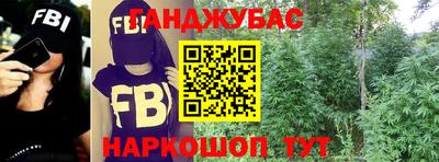 стафф Гай