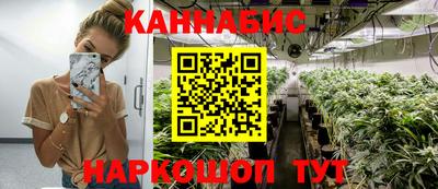 стафф Гай
