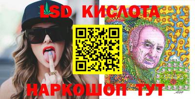 спиды Гатчина