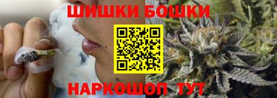 стафф Гай