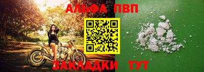 спиды Гатчина