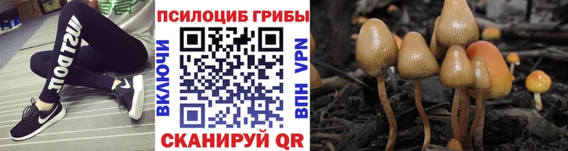 Галлюциногенные грибы мицелий  Мелеуз 