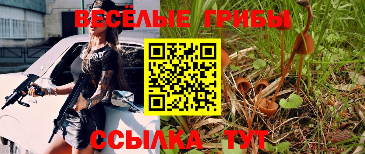Псилоцибиновые грибы Magic Shrooms  Псилоцибиновые грибы GOLDEN TEACHER  Мелеуз  Вход с VPN 