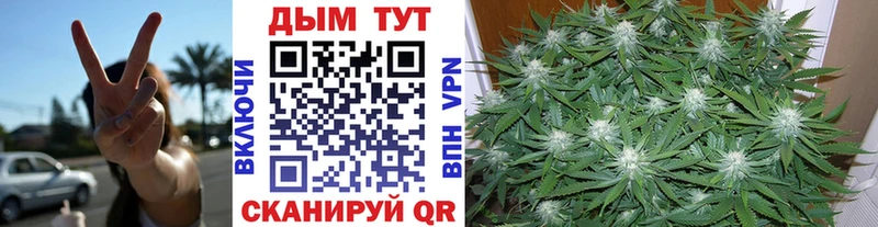 Шишки марихуана ГИДРОПОН Мелеуз